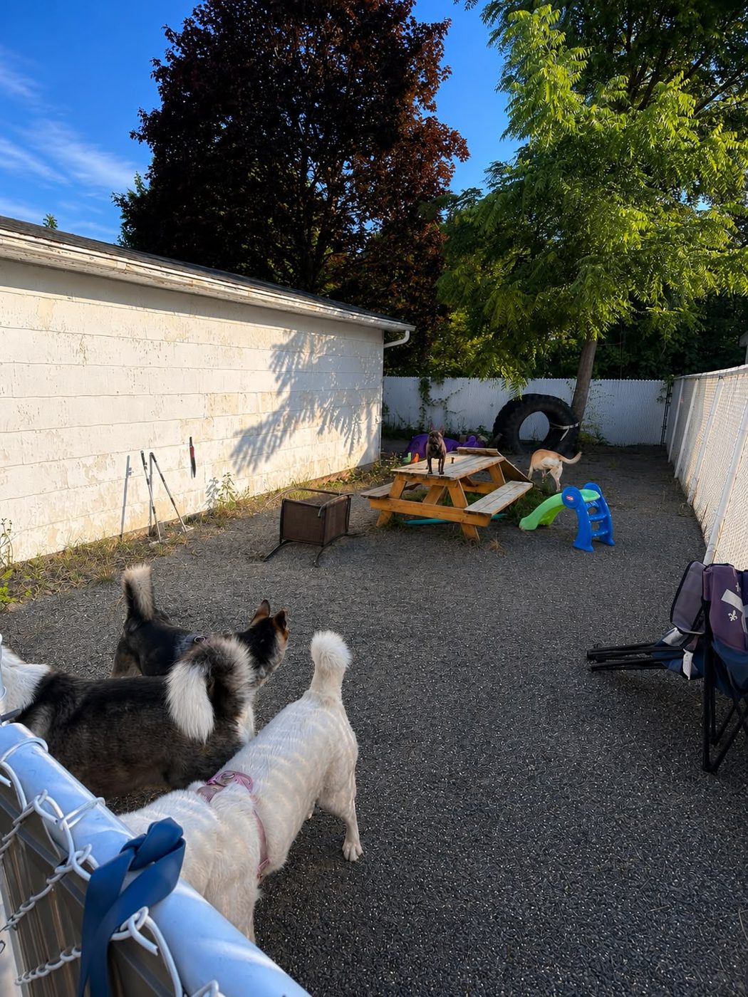 Parc clôturé pour les promenades